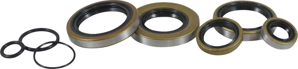 VintCo Oil Seal Kit - Kawasaki - Back View