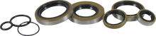 Load image into Gallery viewer, VintCo Oil Seal Kit - Kawasaki - Back View