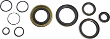 Load image into Gallery viewer, VintCo Oil Seal Kit - Kawasaki - Main Product View