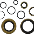 Load image into Gallery viewer, VintCo Oil Seal Kit - Kawasaki - Side View