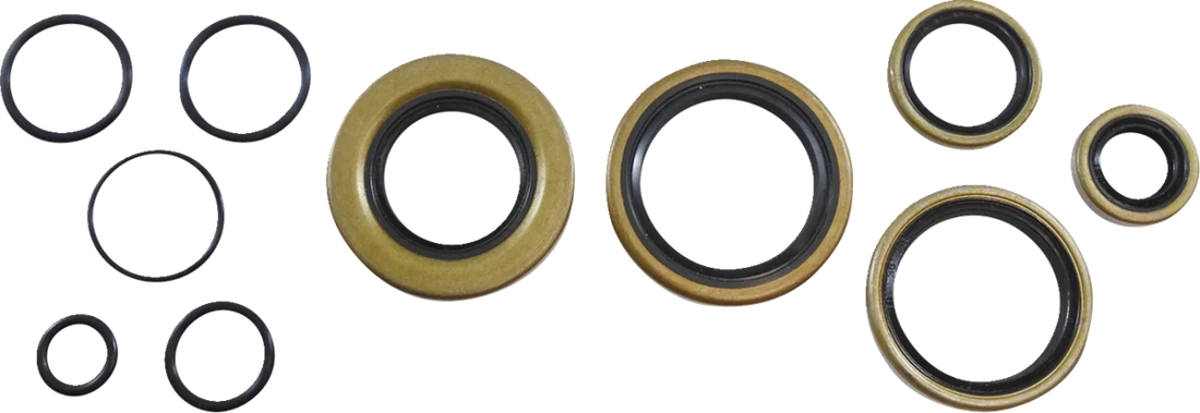 VintCo Oil Seal Kit - Kawasaki - Back View