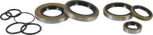 Load image into Gallery viewer, VintCo Oil Seal Kit - Kawasaki - Installation View