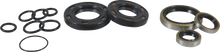 Load image into Gallery viewer, VintCo Oil Seal Kit - Kawasaki - Back View