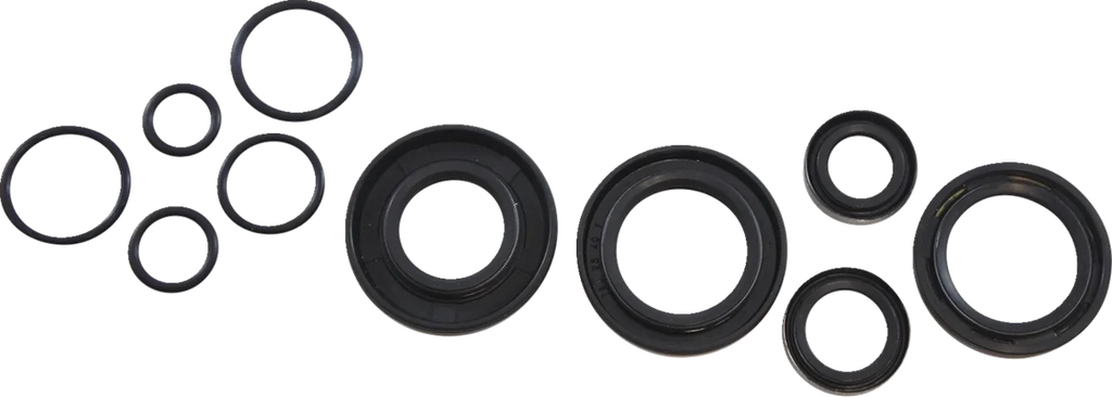 VintCo Oil Seal Kit - Kawasaki - Main Product View
