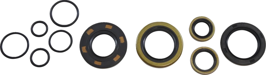 VintCo Oil Seal Kit - Kawasaki - Side View