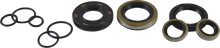 Load image into Gallery viewer, VintCo Oil Seal Kit - Kawasaki - Back View