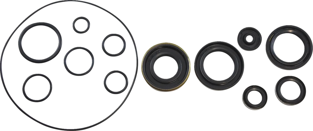 VintCo Oil Seal Kit - Kawasaki - Main Product View