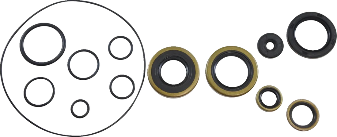 VintCo Oil Seal Kit - Kawasaki - Side View