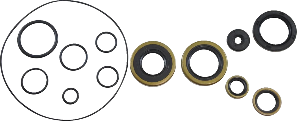 VintCo Oil Seal Kit - Kawasaki - Side View