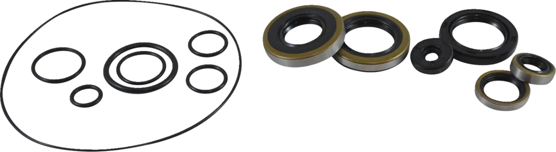 VintCo Oil Seal Kit - Kawasaki - Back View