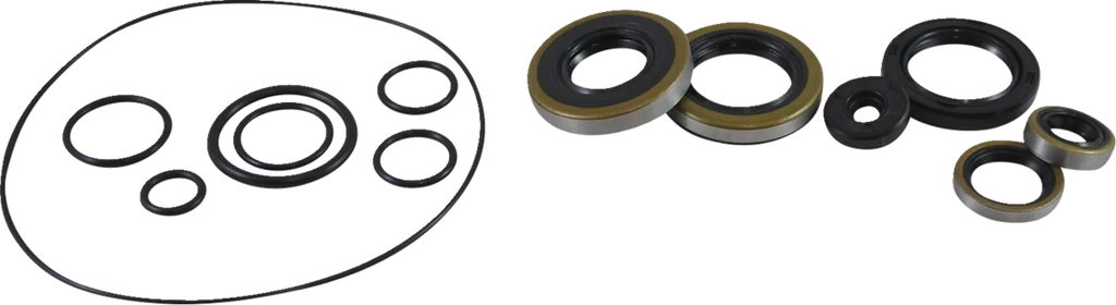 VintCo Oil Seal Kit - Kawasaki - Back View