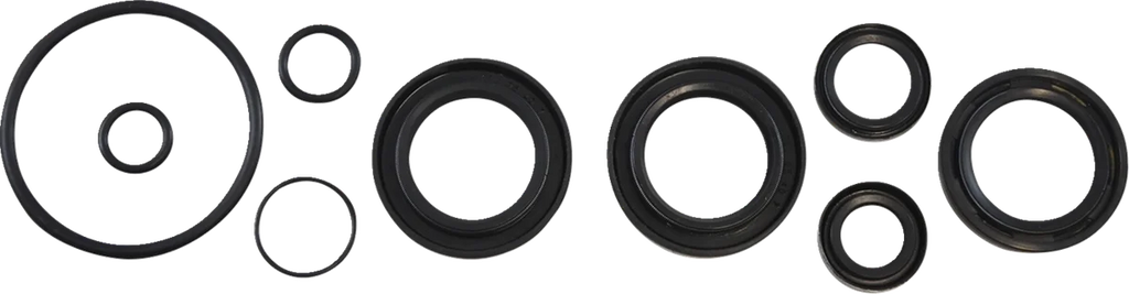 VintCo Oil Seal Kit - Kawasaki - Main Product View