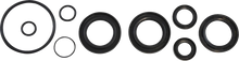 Load image into Gallery viewer, VintCo Oil Seal Kit - Kawasaki - Main Product View