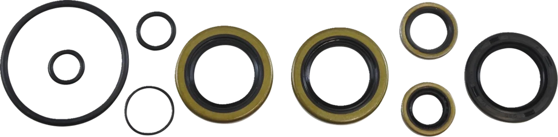 VintCo Oil Seal Kit - Kawasaki - Side View