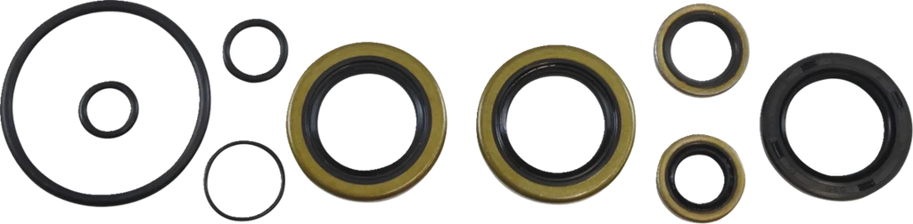 VintCo Oil Seal Kit - Kawasaki - Side View