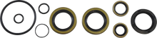 Load image into Gallery viewer, VintCo Oil Seal Kit - Kawasaki - Side View