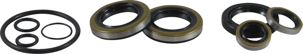 VintCo Oil Seal Kit - Kawasaki - Back View