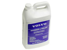 Load image into Gallery viewer, Volvo Coolant / Antifreeze 32339856 fits 1976-2025 Volvo 240 / 242 / 244 / 245 / 262 / 264 / 265 / 740