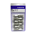 Load image into Gallery viewer, Volvo Spark Plug Kit 31286359 fits 2011-2016 Volvo S60 / 2007-2015 Volvo S80 / 2015-2016 Volvo V60 / 2008-2010 Volvo V70 /...