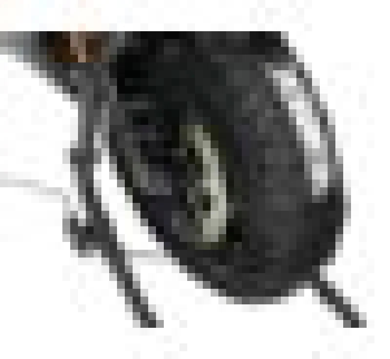 Vortex Racing Tire Warmer 140-165 Rear 120-125 Front - Side View