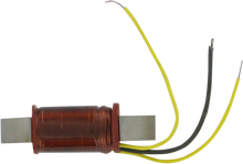 Load image into Gallery viewer, WSM Performance Parts Charge Coil - Kawasaki 004-165 - Main Product View