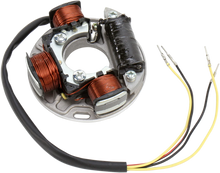 Load image into Gallery viewer, WSM Performance Parts Complete Stator Assembly 004-202 - Main Product View