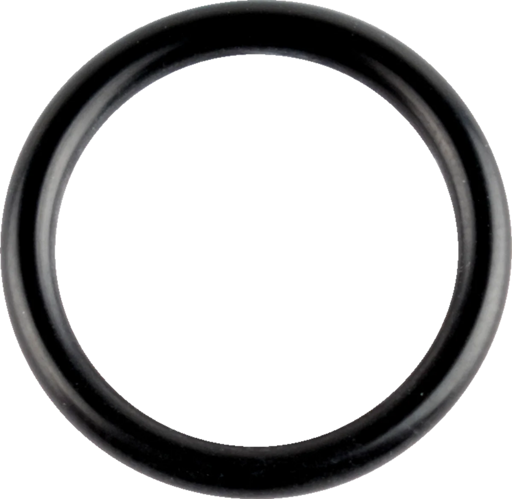 WSM Performance Parts O-Ring Crankshaft - Sea Doo 008-600-07 - Main Product View