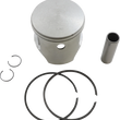 Load image into Gallery viewer, WSM Performance Parts Piston Kit - +0.50 mm - Original Series - Polaris 010-832-05K - Main Product View