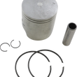 Load image into Gallery viewer, WSM Performance Parts Piston Kit - +1.00 mm - Original Series - Polaris 010-830-07K - Main Product View