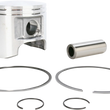 Load image into Gallery viewer, WSM Performance Parts Piston Kit - Standard - Original Series - Polaris 010-835K - Main Product View