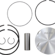 Load image into Gallery viewer, WSM Performance Parts Piston Kit - Standard - Platinum Series - Sea-Doo 010-860PK - Side View