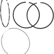 Load image into Gallery viewer, WSM Performance Parts Piston Rings - Standard - Sea-Doo 010-960 - Main Product View