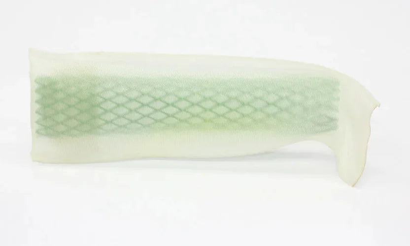 Walbro Fuel Filter Sock - Back View