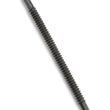 Load image into Gallery viewer, Walbro Fuel Hose - Side View