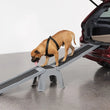 Load image into Gallery viewer, WeatherTech Universal EasyRamp