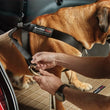 Load image into Gallery viewer, WeatherTech Universal Travel Safe Harness - Black - Side View