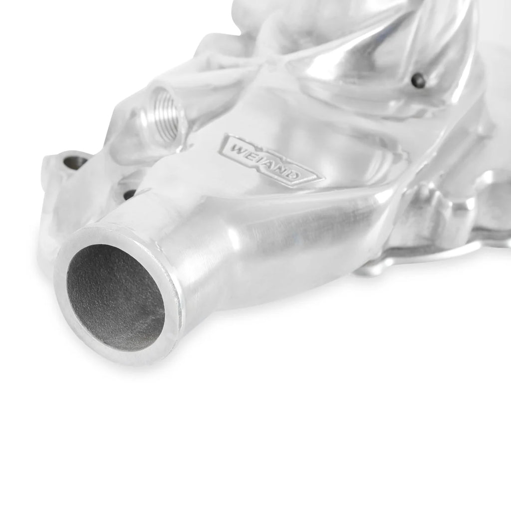 Weiand Action +Plus Water Pump - Installation View