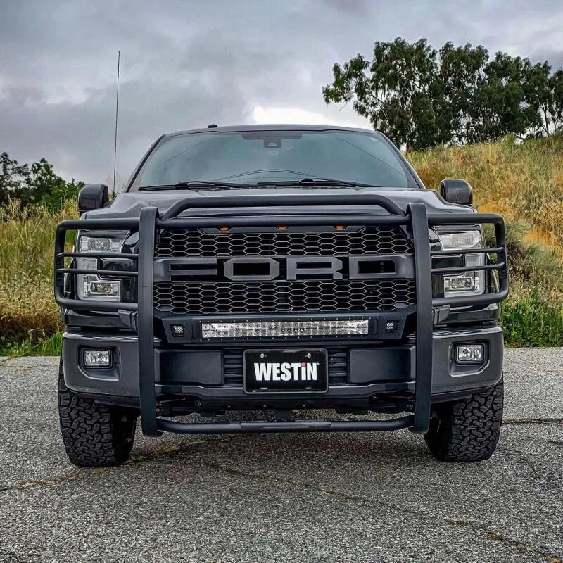 Westin 15-20 Ford F150 Sportsman X Grille Guard - Textured Black - Back View