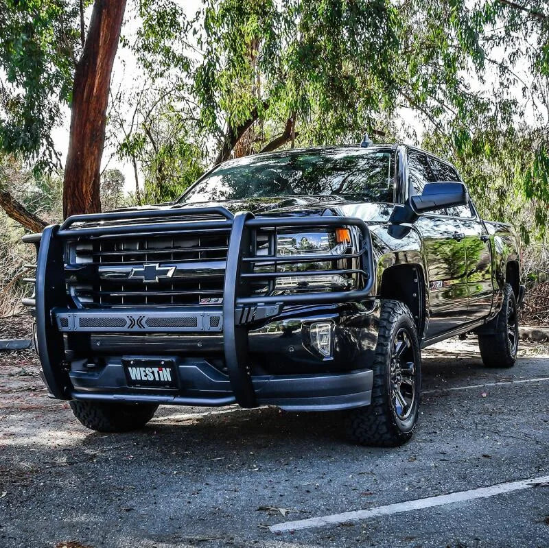 Westin 16-18 Chevy Silverado 1500 Sportsman X Grille Guard - Textured Black - Back View