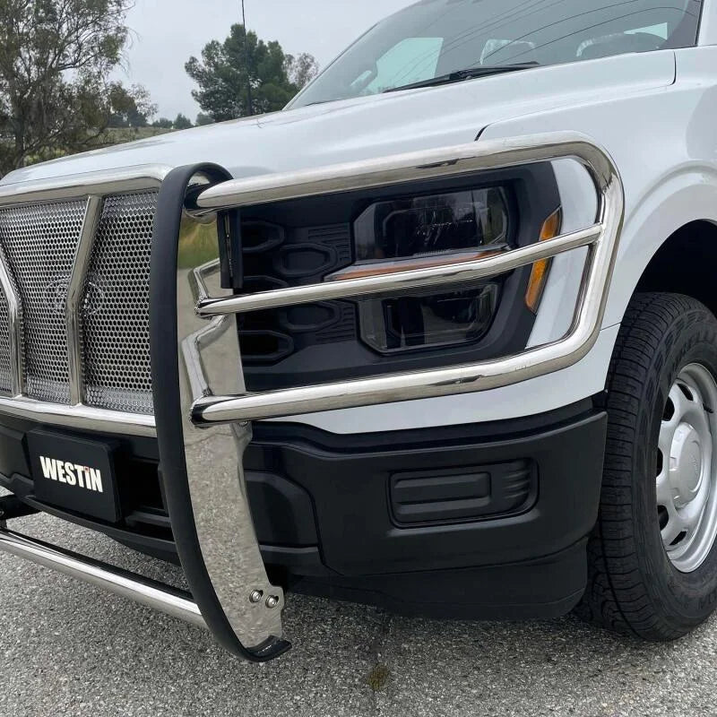 Westin 21-22 Ford F-150 (Excl. Raptor/Platinum) HDX Grille Guard - SS - Additional View 5