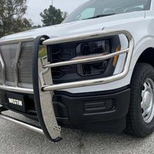 Load image into Gallery viewer, Westin 21-22 Ford F-150 (Excl. Raptor/Platinum) HDX Grille Guard - SS - Additional View 5