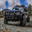 Load image into Gallery viewer, Westin 21-23 Ford Bronco (Excl. Bronco Sport)XTS Front Bumper Brush Guard for OEM Bumper - Tex Black - Installation View