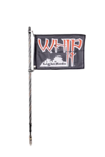 Load image into Gallery viewer, Whip It 3Ft Blk Bt Rgb Chase Light Rod - Main Product View