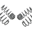 Load image into Gallery viewer, Whiteline 04-08 VW Golf Mk5 2.0 GTI Performance Lowering Springs - Side View