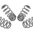 Load image into Gallery viewer, Whiteline 04-08 VW Golf Mk5 2.0 GTI Performance Lowering Springs - Detail View