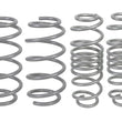 Load image into Gallery viewer, Whiteline 2011-2019 Ford Fiesta Performance Lowering Spring Kit - Ford Fiesta - Main Product View