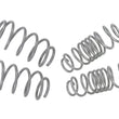 Load image into Gallery viewer, Whiteline 2011-2019 Ford Fiesta Performance Lowering Spring Kit - Ford Fiesta - Side View