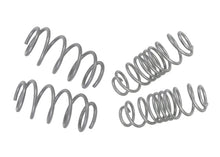 Load image into Gallery viewer, Whiteline 2011-2019 Ford Fiesta Performance Lowering Spring Kit - Ford Fiesta - Side View