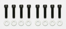Load image into Gallery viewer, Wilwood Bolt Kit - 1/4-28 x1.00- 8 pack.