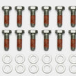 Load image into Gallery viewer, Wilwood Bolt Kit - 5/16-18 x 1.00 LG - 12 pk